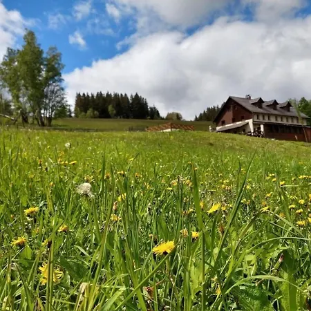 Am Waldrand Mit Schwimmbad Und Sauna Holiday home *